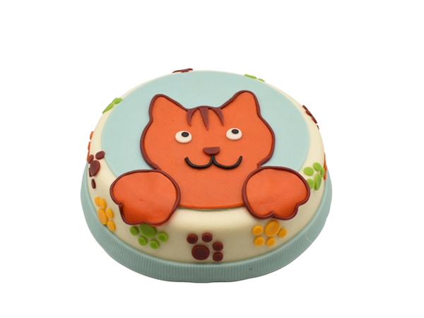 Kindertaarten (allerjongste)